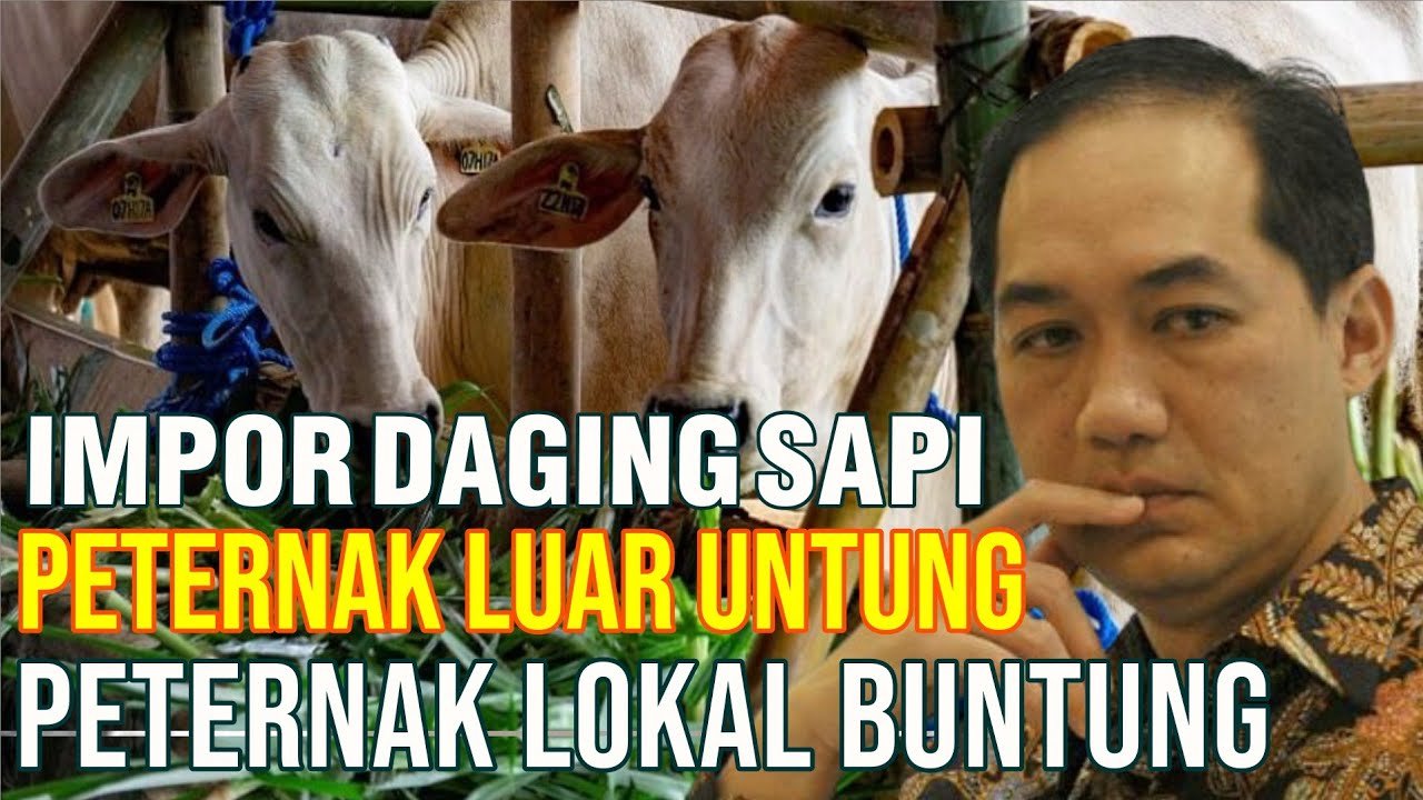 
                                 Impor-Daging-Sapi-Siapa-Yang-Diuntungkan?